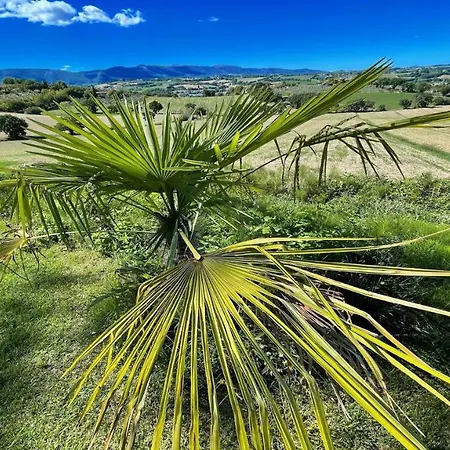 Villa Spoleto-poolside Slps 20, One Hour To Rome, Fabulous Gardens, Bbq Area, Pool Spoleto